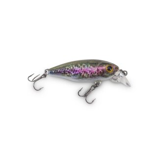 Natural Rainbow Trout