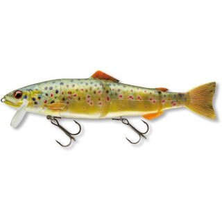 Live Brown Trout