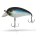 Blue Baitfish