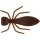 WESTIN Termite