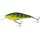 Real Hot Perch