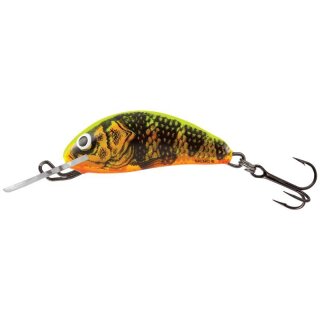Gold Fluo Perch